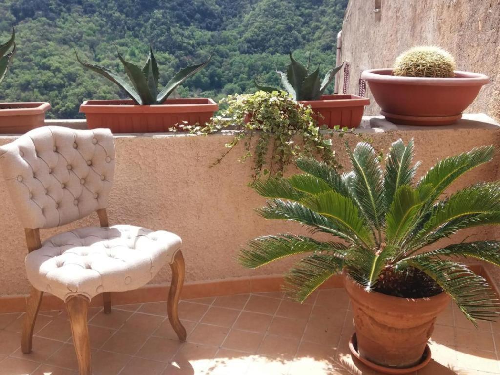 La Casa Della Filanda Hotel Belmonte Calabro Eksteriør billede